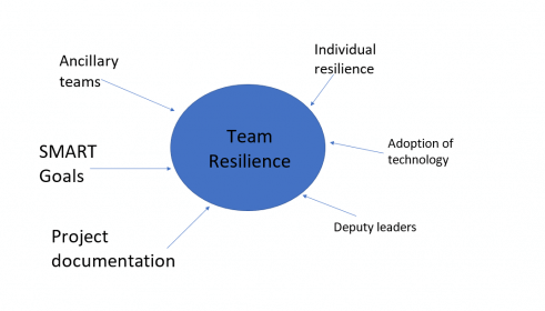 project team resilience