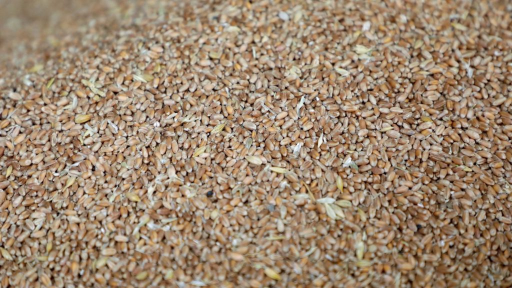 grain food