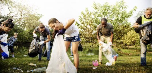 litter community service