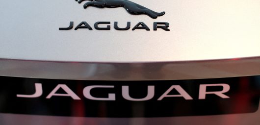 Jaguar