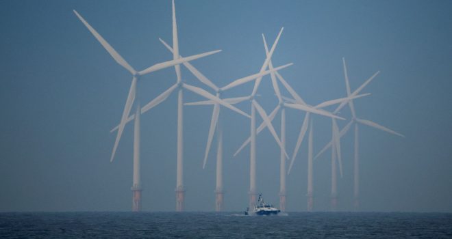 Related sized article featured image