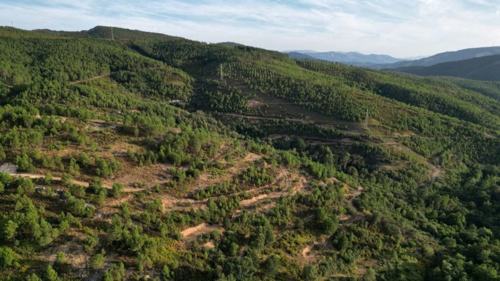 Portugal countryside