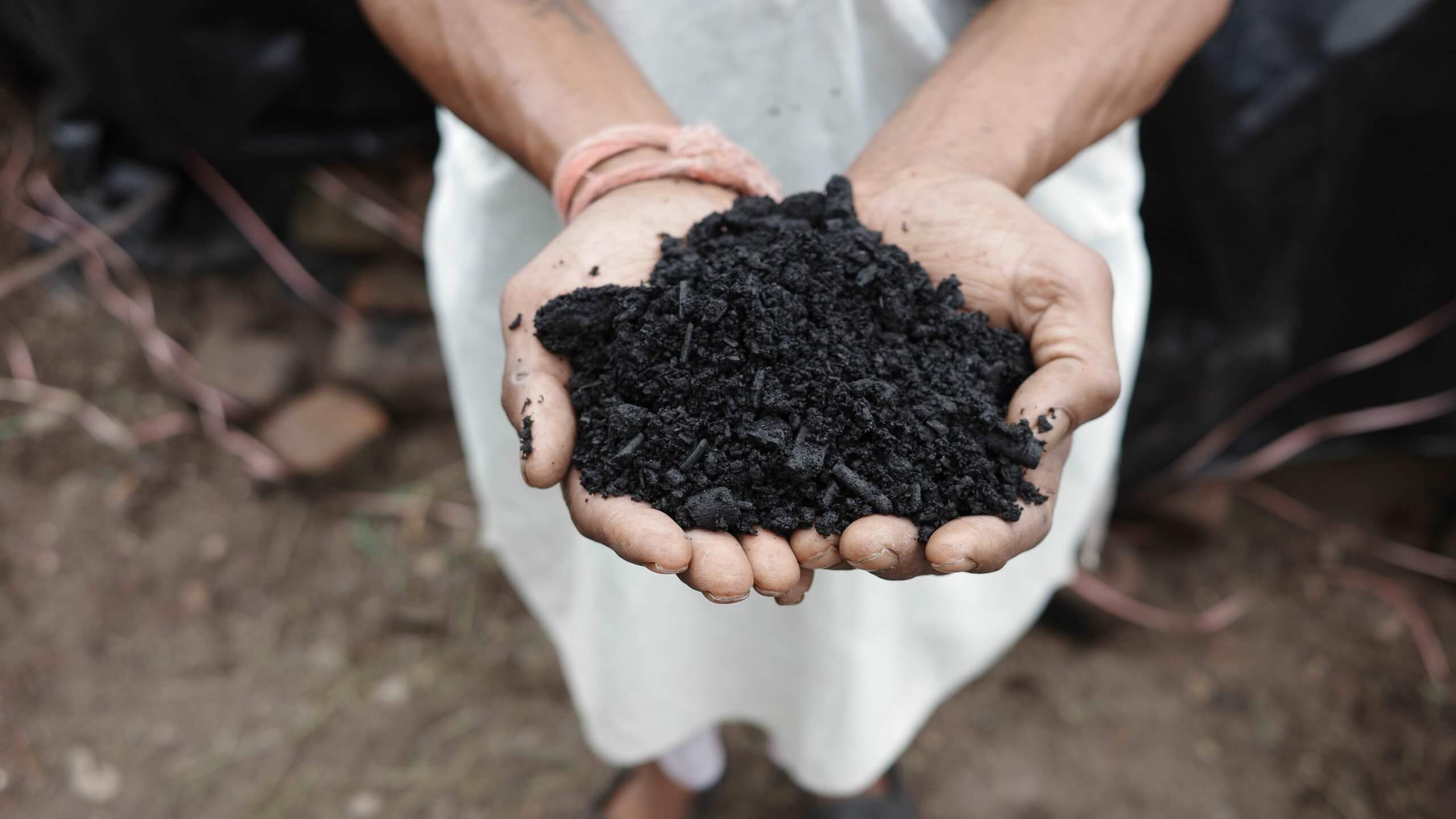 UK's Largest Biochar Facility To Open In Wiltshire, Aiming To Sequester ...