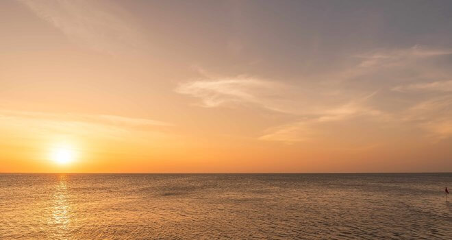 Related sized article featured image