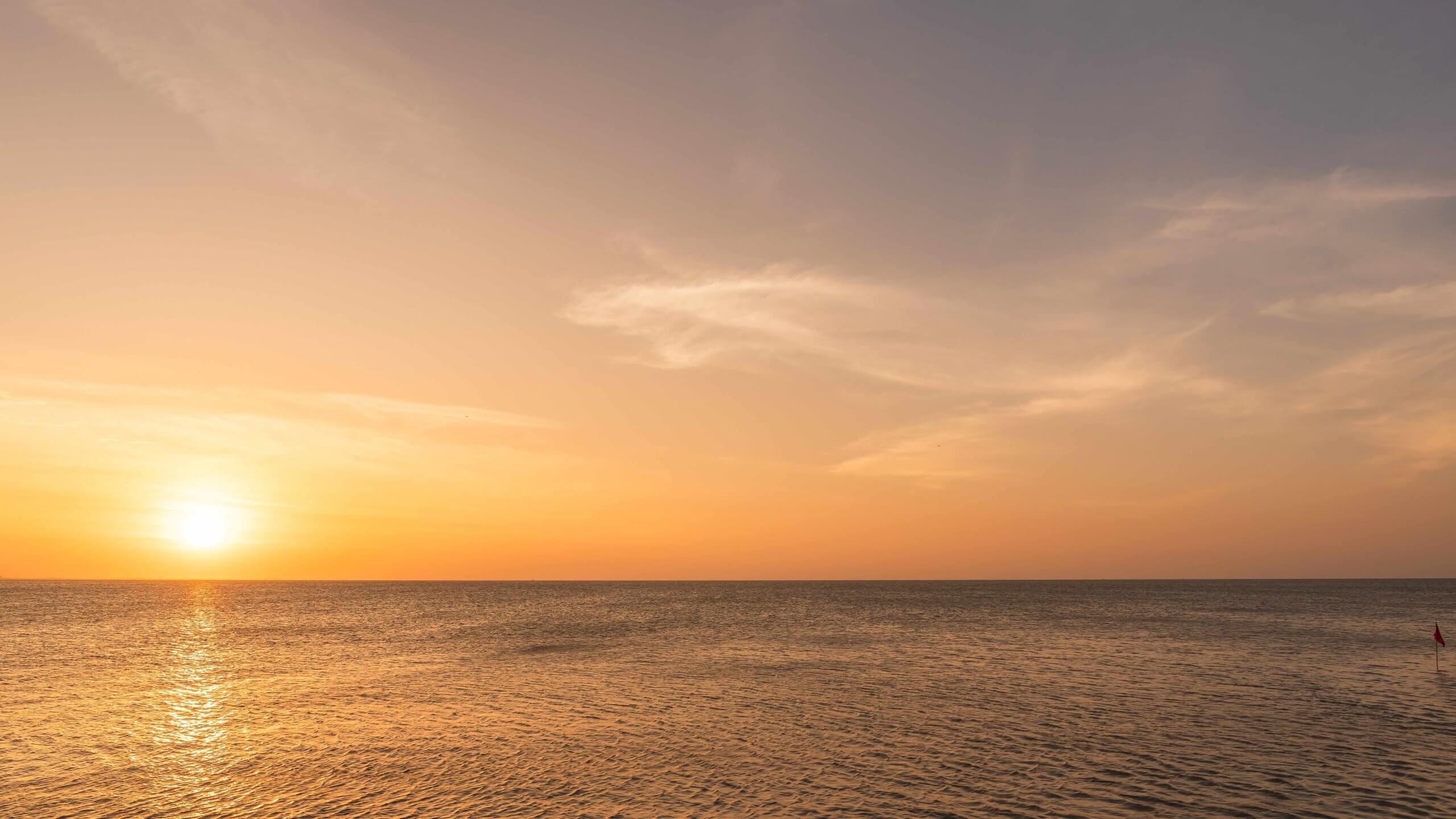 SunLib Secures €25m Backing To Scale Solar Subscription Model Across France