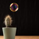 Small sized article featured image