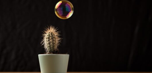 Medium sized article featured image