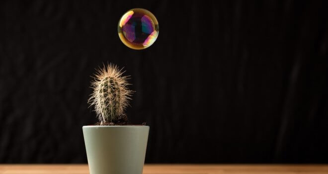 Related sized article featured image